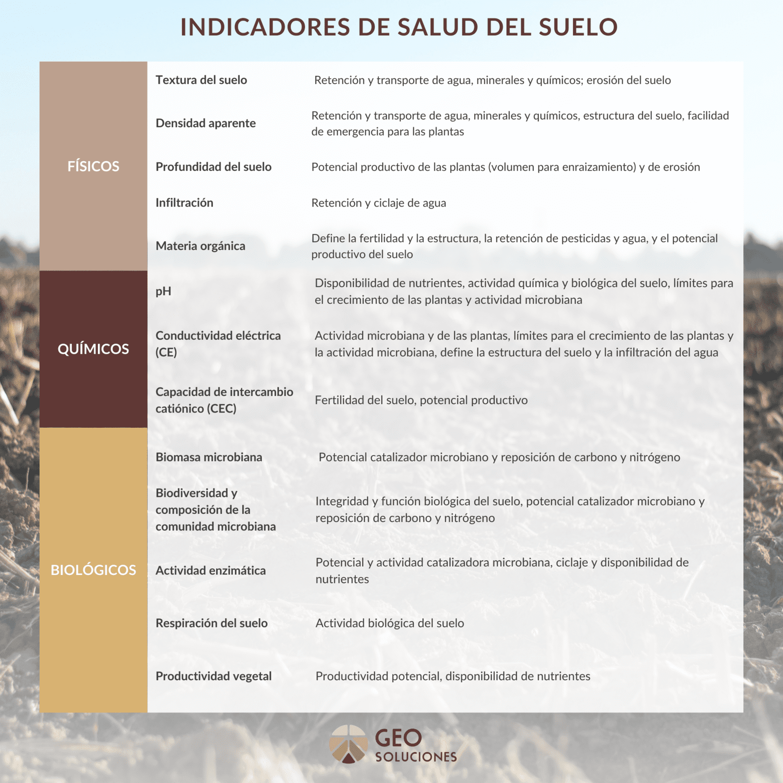 La restauración de suelos y sus indicadores